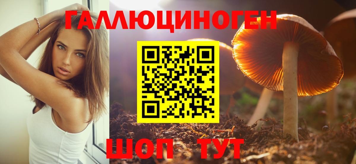 Псилоцибиновые грибы Psilocybine cubensis  Вход с VPN  Галлюциногенные грибы мухоморы  хочу   Москва 