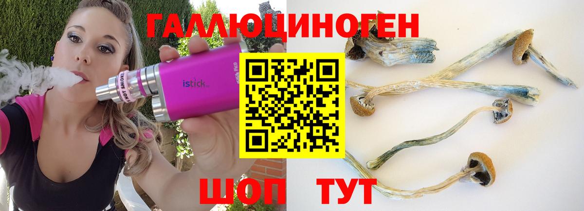 Псилоцибиновые грибы Magic Shrooms Москва